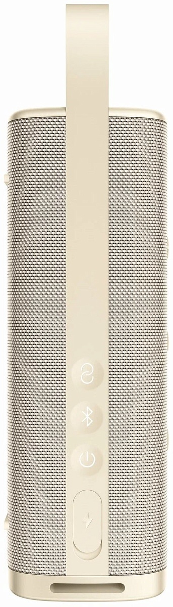 Портативная колонка Xiaomi Sound Outdoor, 30W, золотая (QBH4370GL)